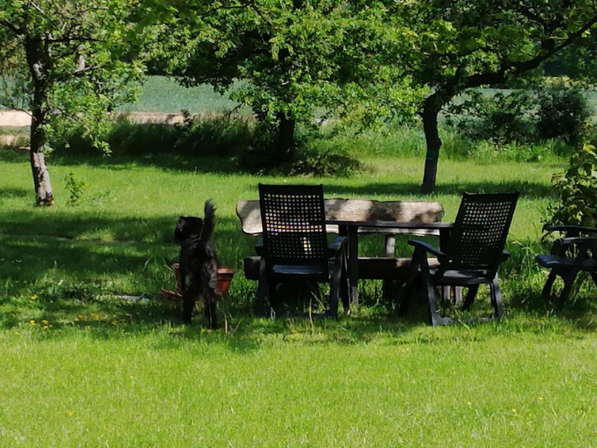 Apartment Forsthof Schlemmin Eickhof